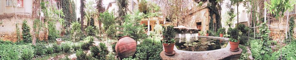 Wide-angle view of the garden, 2001.